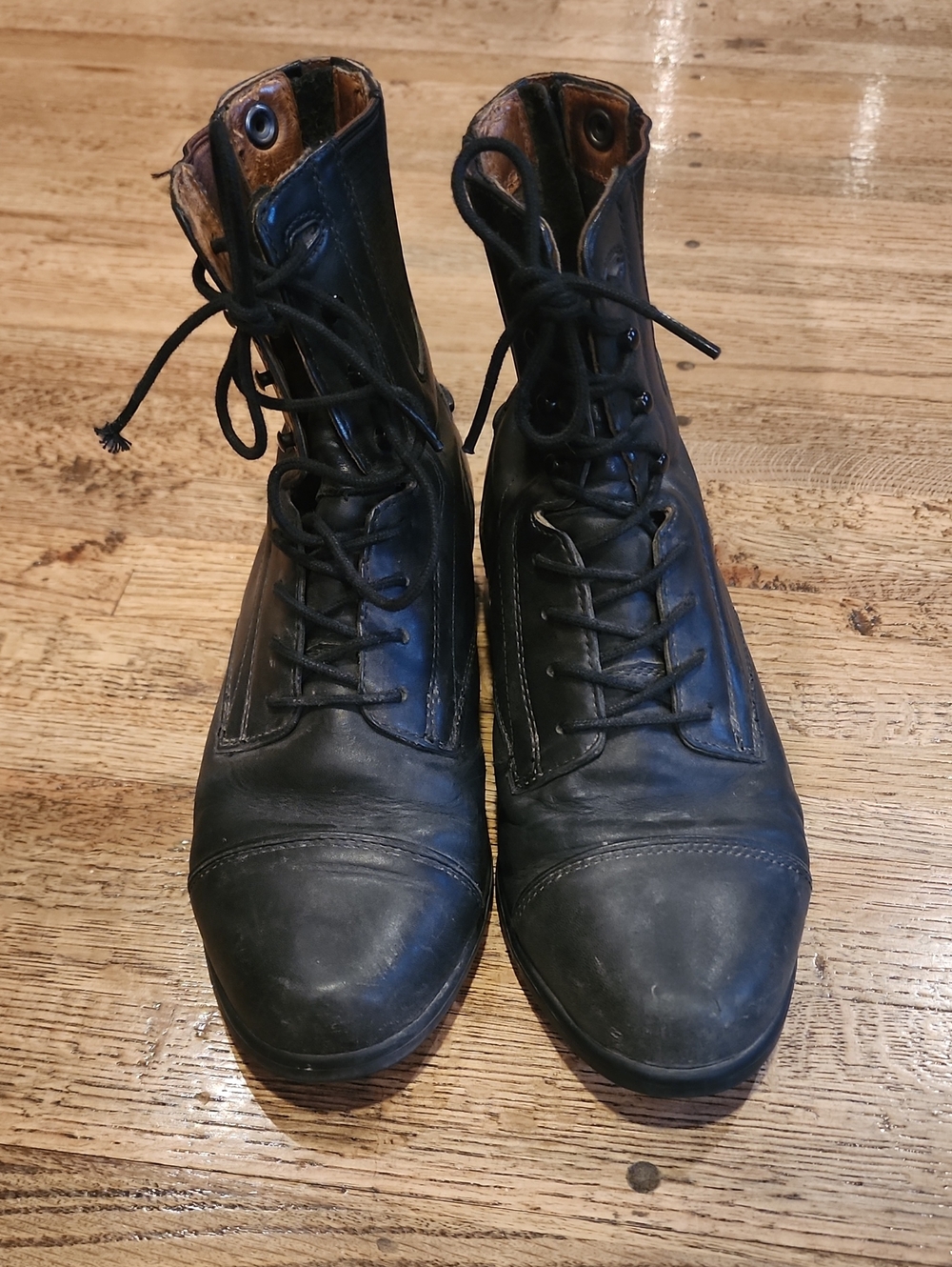 Ariat Paddock Boots Women  Black Leather Cap Toe